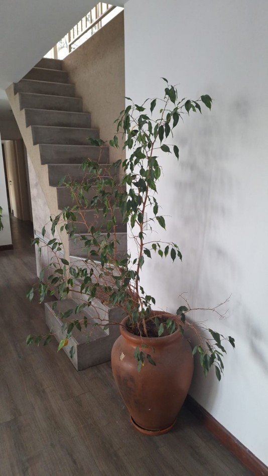 OPORTUNIDAD! Alquiler Dpto 2 Dormitorios Ituzaingo 1056, Nueva Cordoba